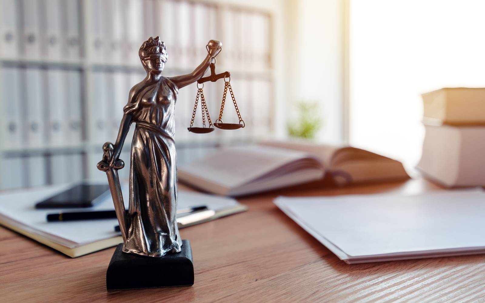 Audrey Guillotin, avocat en droit du dommage corporel (06)